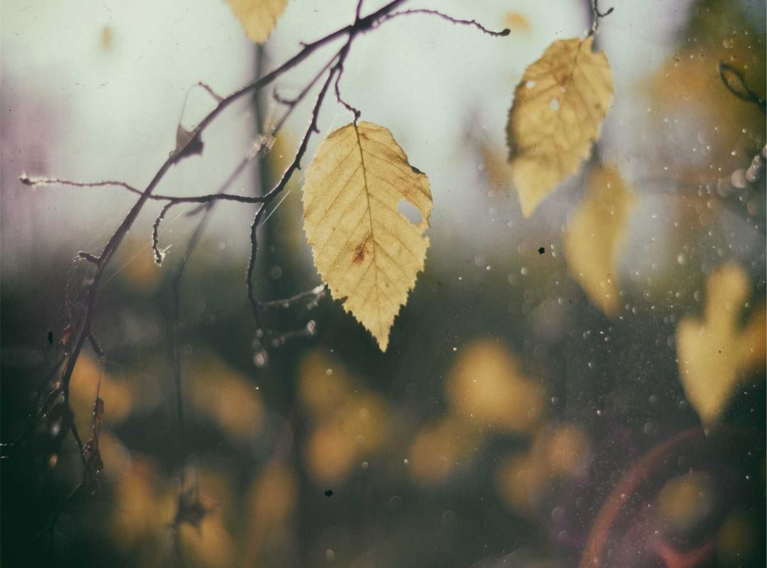 Find Everything You Need: Official Links and Next Steps