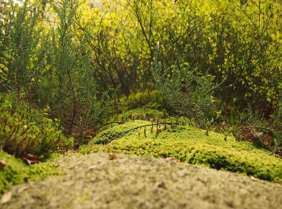 Solving Common Login Problems: What to Do When You