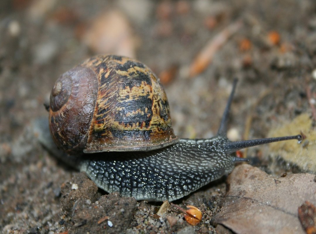 How to Log In and Get Started with Salo.Inschool