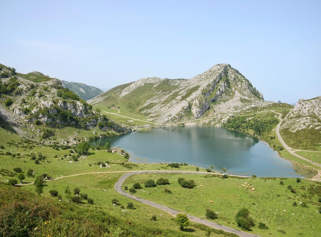 Where to Find Beautiful and Free 